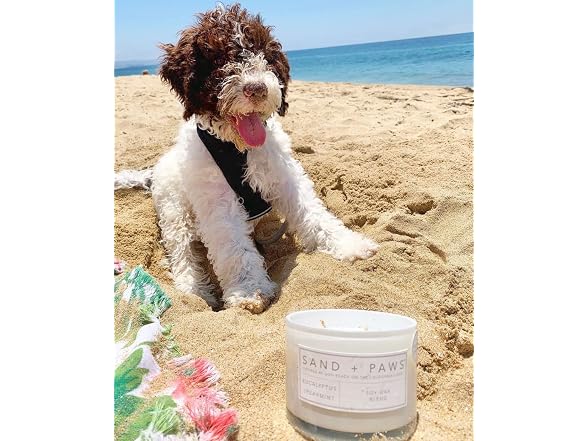 Sand + Paws Scented Candle - White Vanilla