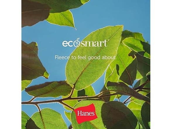 Hanes Women (XXL) EcoSmart Joggers Fleece