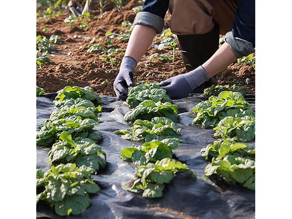 VEVOR 6.5FTx300FT Premium Weed Barrier Fabric