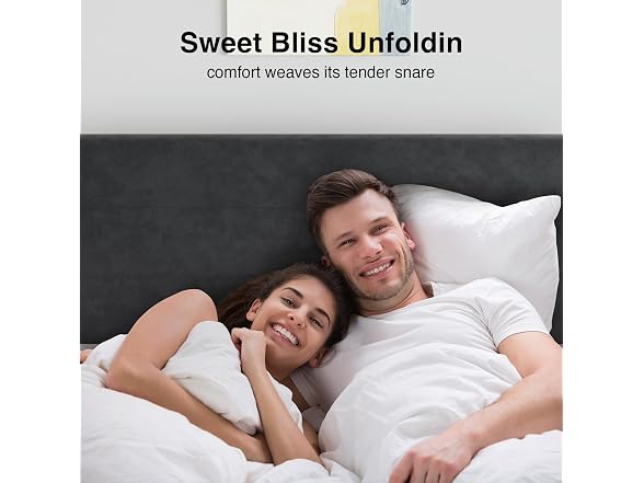 Novilla King Bed Frame and Headboard, King Bed Frame, Velvet