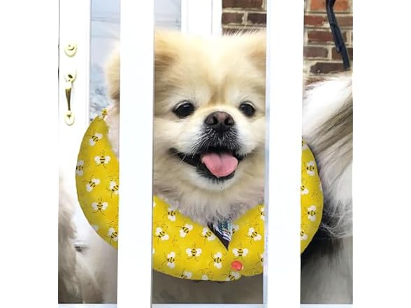 Puppy Bumpers Honey Bee