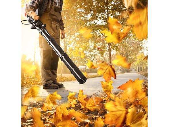 Baotree 80CC Gas Backpack Leaf Blower