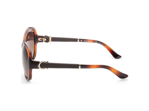 Ferragamo Women's 59mm Brown Sunglasses
