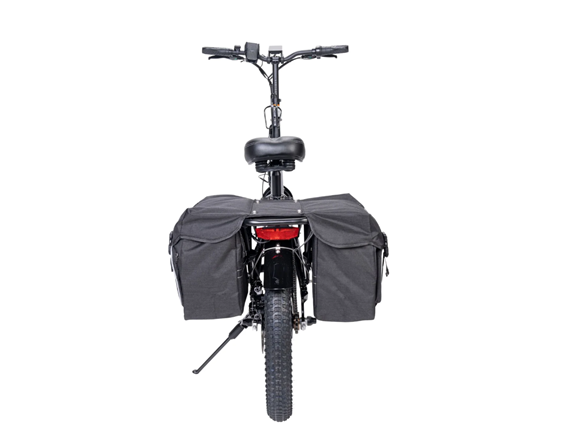Go Power GoLite Folding Electric Bike