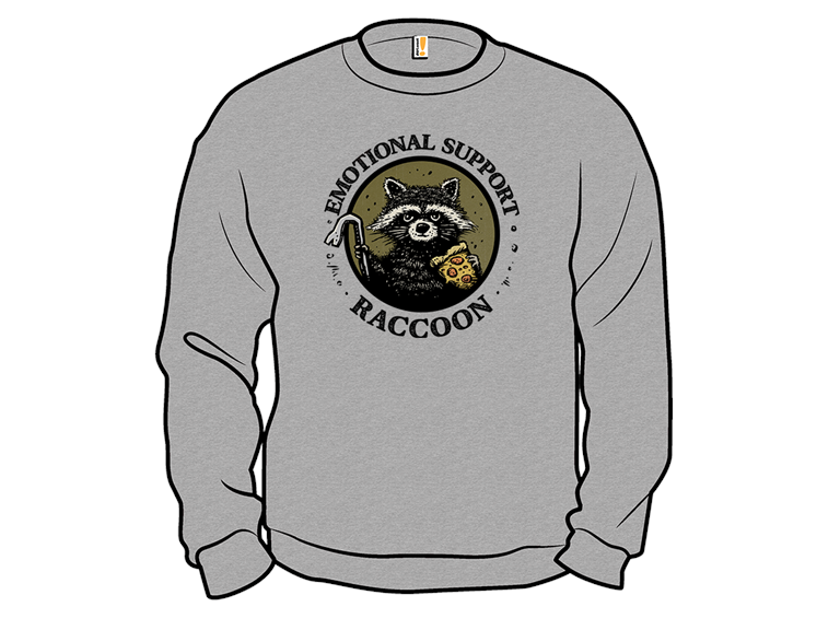 Emotional Support Raccoon