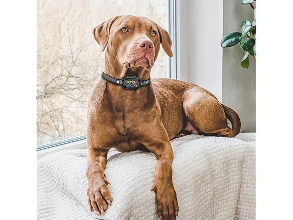 AT&NT Dog Bark Collar Anti Barking Training