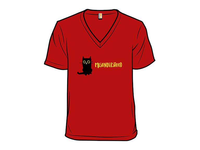 Misunderstood  Like a Black Cat