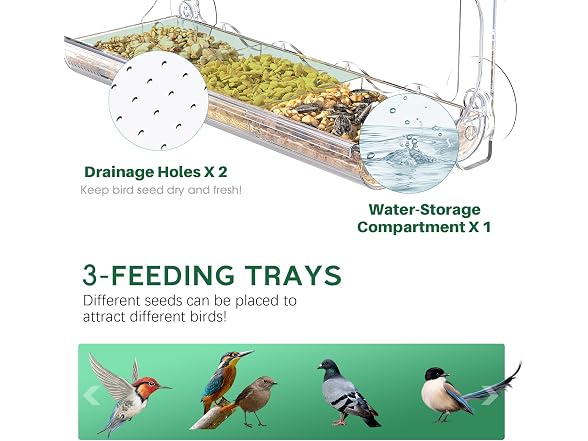 Clear Window Bird Feeder