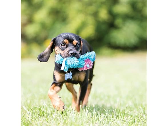 KONG Cozie Plush Dog Toy with Squeaker (Rosi