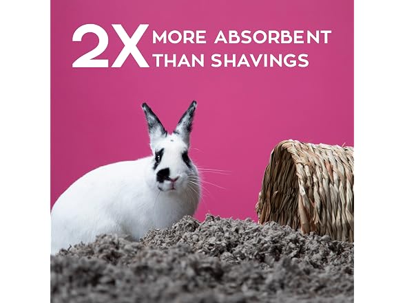 carefresh Dust-Free Natural Paper Small Pet