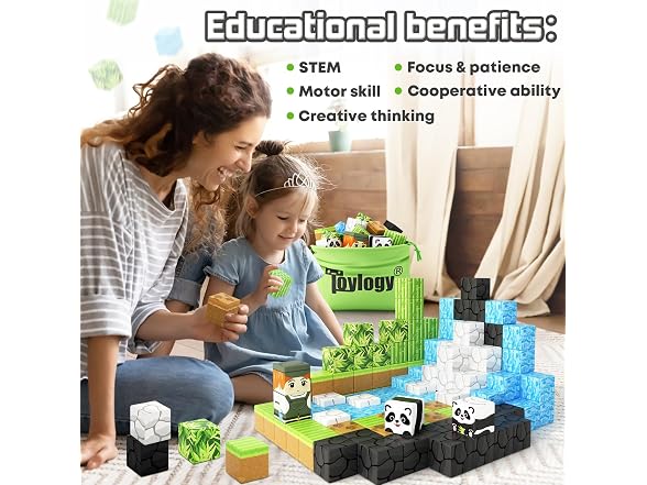Toylogy Magnetic Blocks Panda STEM 3+