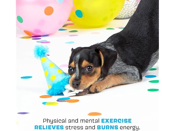 BarkBox The Party Farter Dog Toy | Wearable Party Hat Toy - Gallery 3