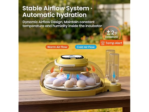 Egg Incubators For Hatching Eggs