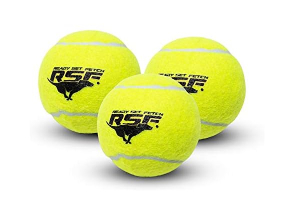 Franklin Squeaky Dog Tennis Balls 3Pk