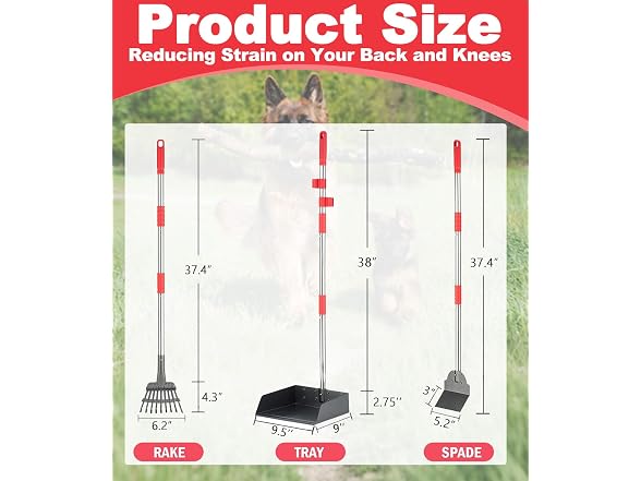 Stainless Pooper Scooper Rake & Spade
