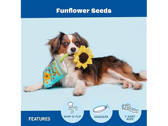 BarkBox Funflower Seeds Dog Toy