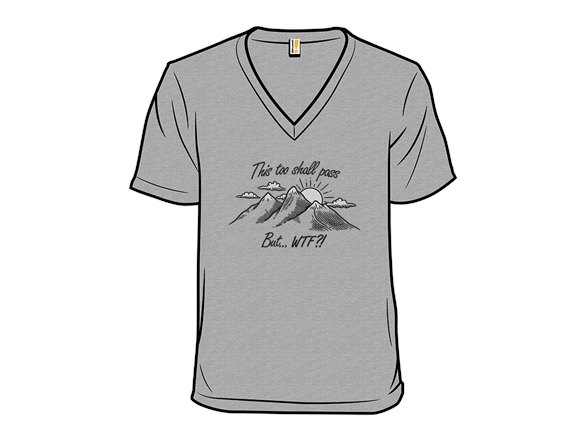 This Too Shall Pass but WTF?!