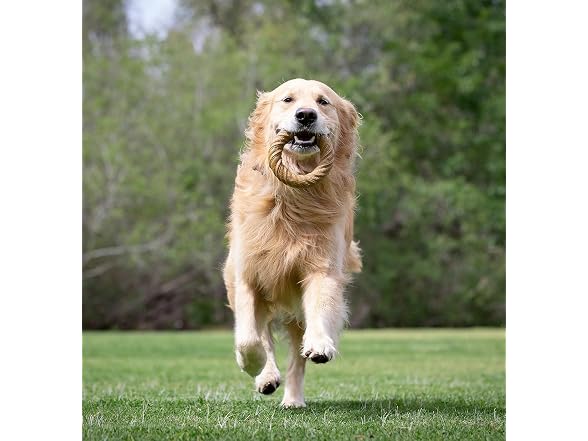 Barkbone Chew Ring, Chamomile Vanilla Flavored