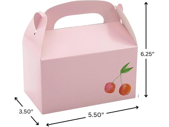 Fun Express Fun Express 6 1/4" x 5 1/2" Pink Cherries 