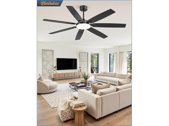 Fanbulous Black 62” Ceiling Fan with Lights