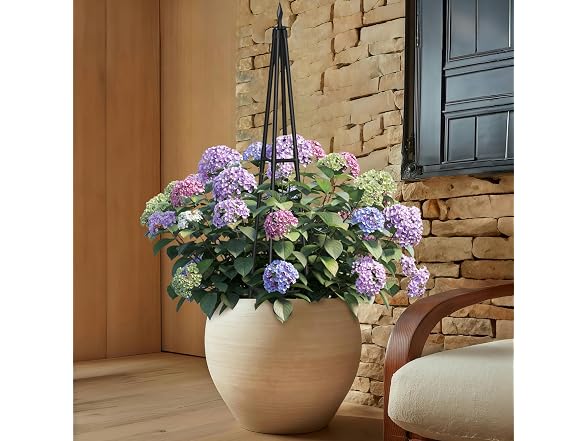Hsundries 4FT Obelisk Climbing Trellis