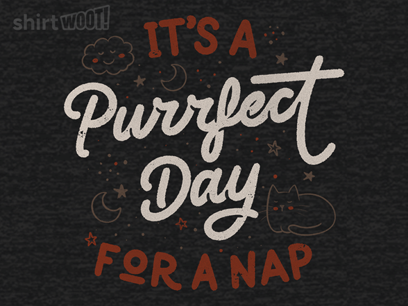 It's a Purrfect Day For a Nap