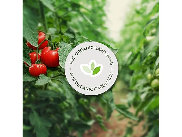 Fungicide with Neem Oil 32oz 6pk