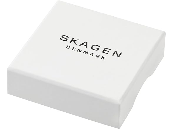 Skagen Women's Trendy Silver Stainless Steel Bracelet