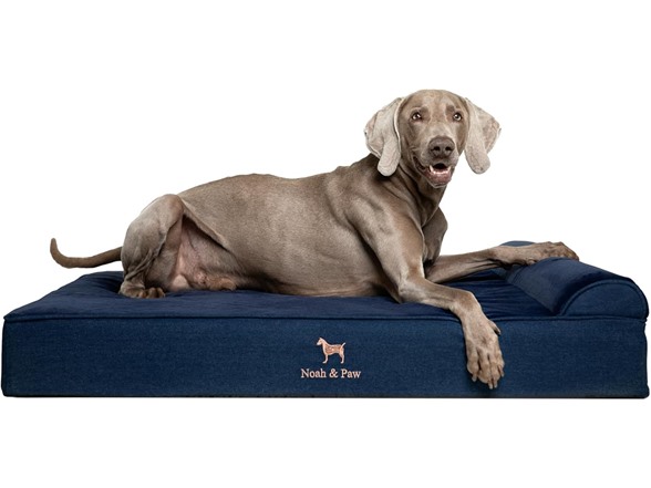 NOAH & PAW Orthopedic Dog Beds- XLarge