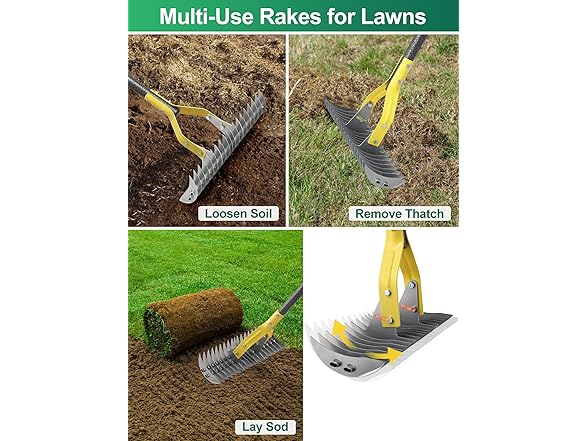Thatch Rake, 2-in-1