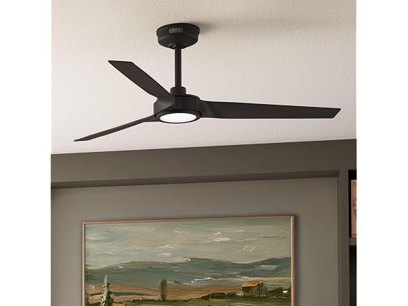 Hunter Fan Outdoor Ceiling Fan, 52 in White Ceiling Fan