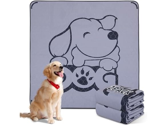2 Pack Washable Puppy Pads in Gray