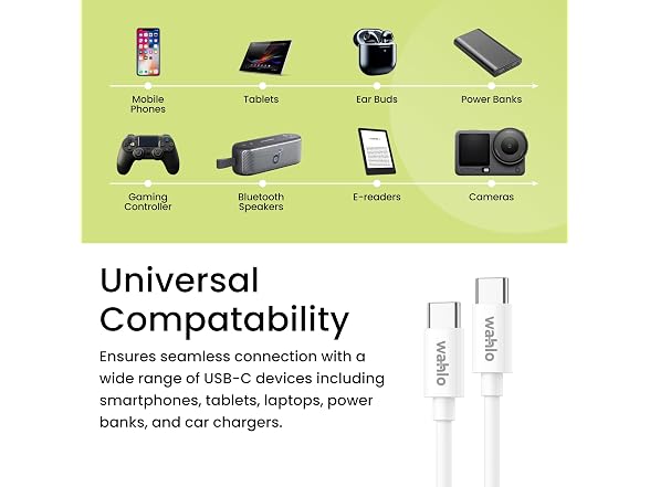 Go Green Power Inc. USB-C to USB-C