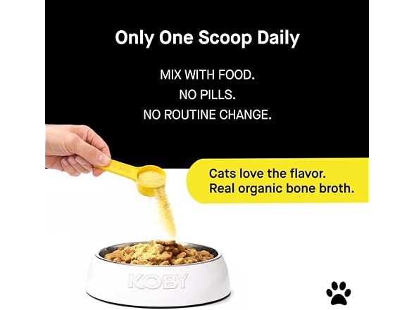 Koby Cat Probiotics | Daily Digestive Support