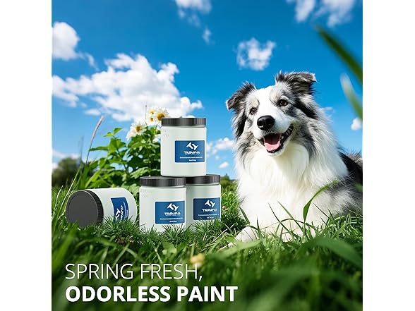 TILSWALL All-in-One Chalk Paint for Furniture