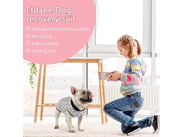 Etdane Dog Recovery Suit for Female Male Dog
