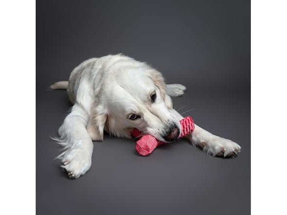 NOAH & PAW Luxury Dog Toy, Dog Rope Toy- Y Flyer, Pink