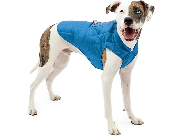 Kurgo Reversible Dog Jacket, Size Medium