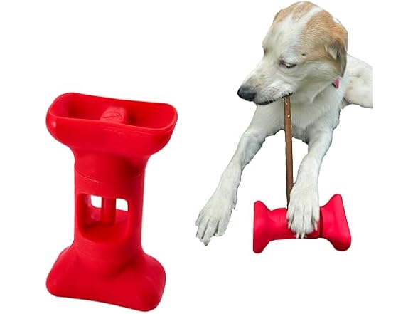 SPOT Safety Treat Holder