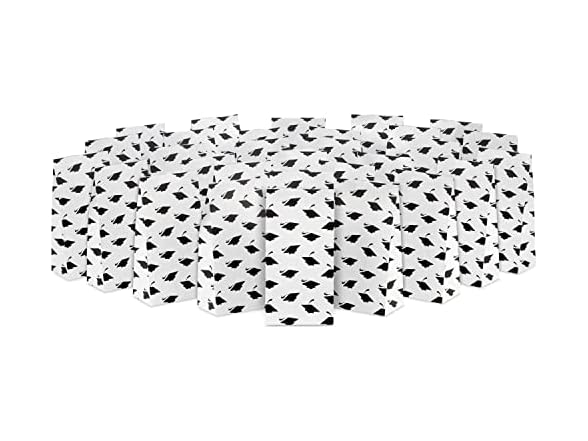 Hallmark Grad Party Favor Bags 30Ct