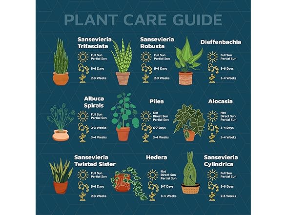 Lifemaster Black 6-Inch Plant Pots with Drainage & Saucers 24 Pack