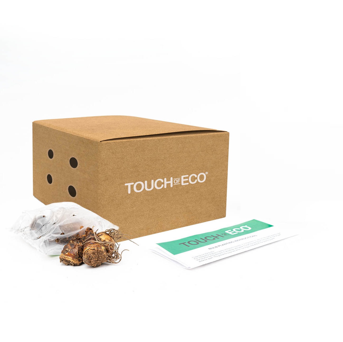 Lilac Dahlias - You Choose - Gallery 10