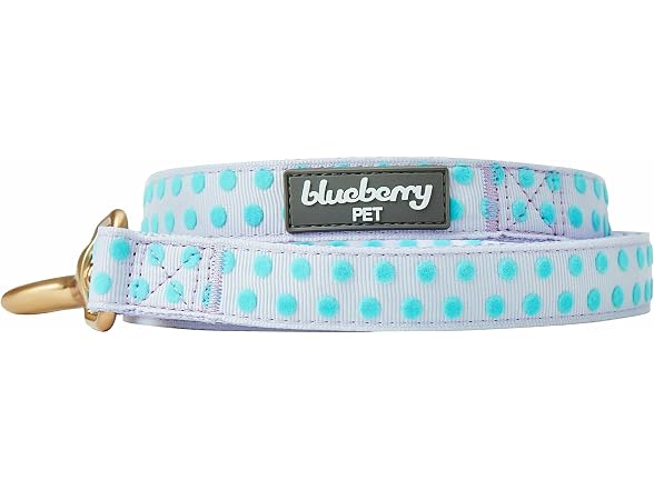 Blueberry Pet Polka Dots Femal Dog Leash for