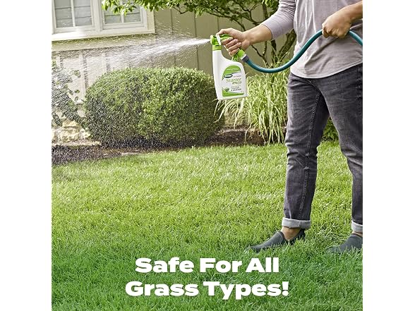 Scotts Turf Builder Starter Food, 32 fl. oz.