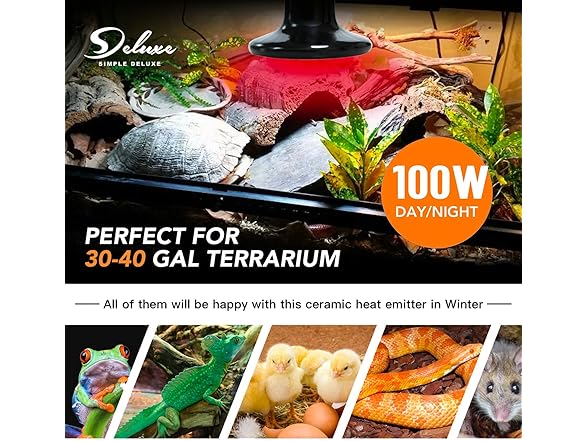 Simple Deluxe 100W 2-Pack Ceramic Reptil