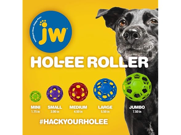 JW Pet Hol-ee Roller Dog Toy Puzzle Ball, Small