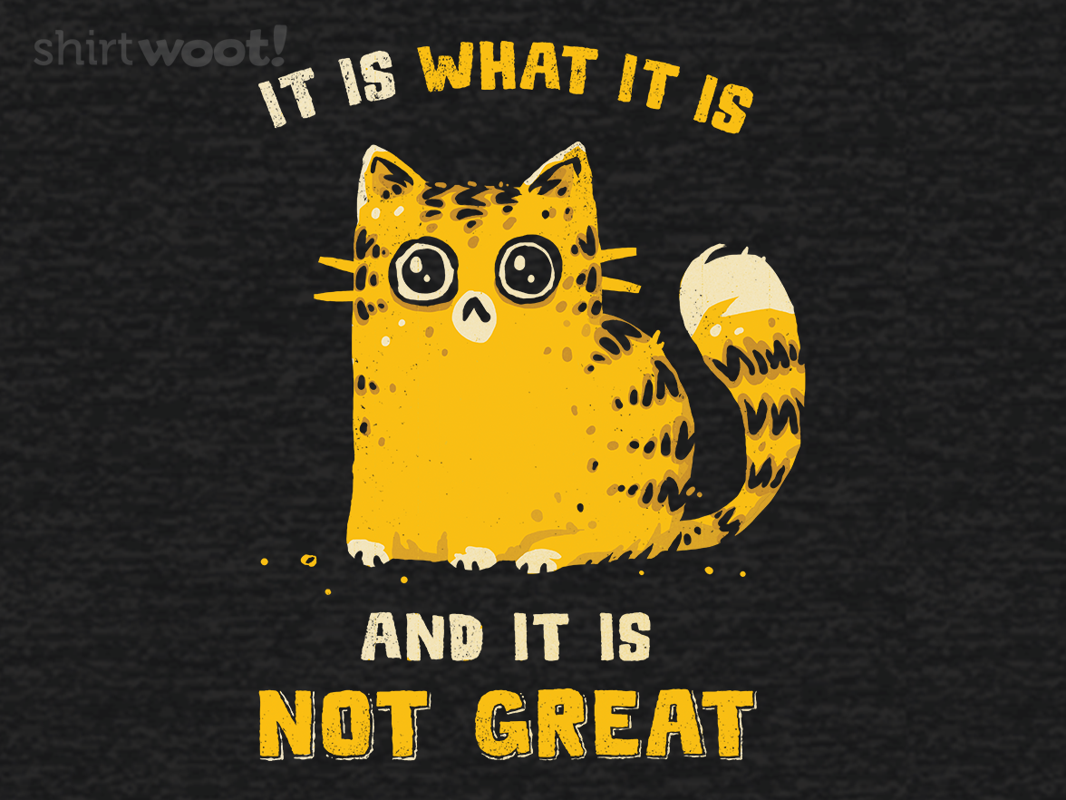 It Is Not Great - Gallery 4