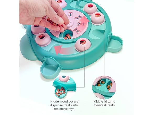 Friends Forever Dog Puzzles Toys with Slower Feeder