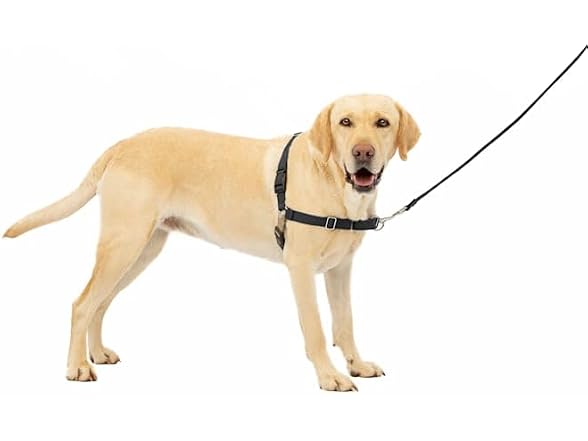 Petsafe Easy Walk No Pull Harness Black Large