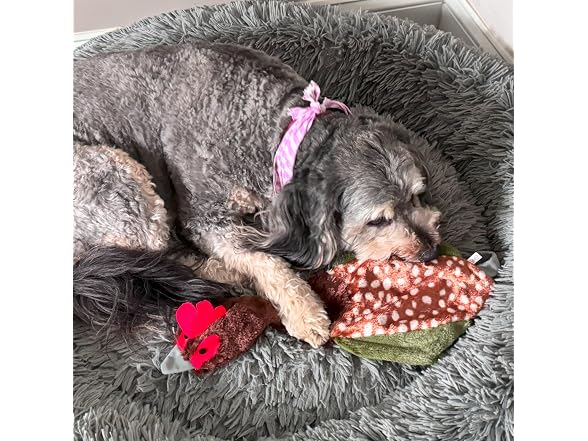 SPOT Skinneeez Crinklers Bird- Stuffing-Free